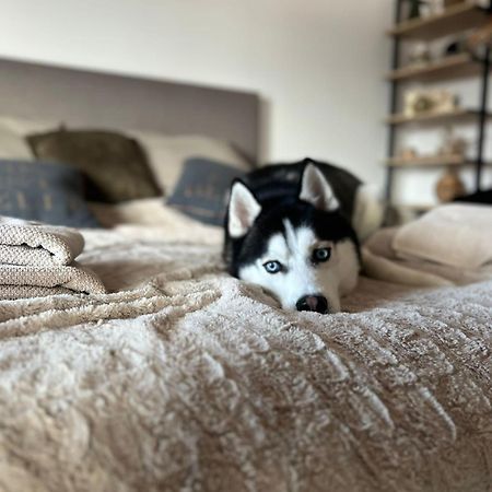 Apartman Freya Liptovský Mikuláš Dış mekan fotoğraf