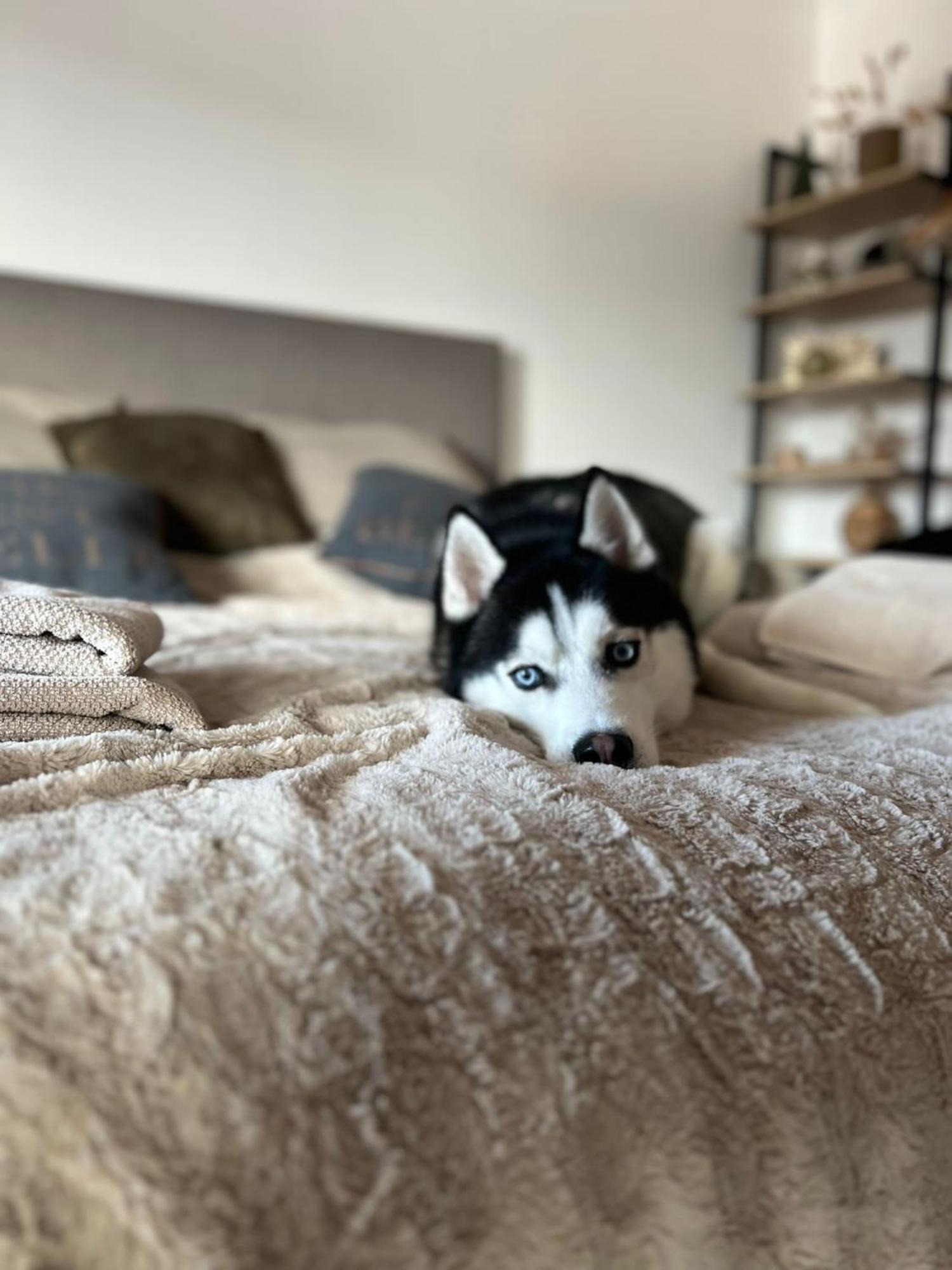Apartman Freya Liptovský Mikuláš Dış mekan fotoğraf